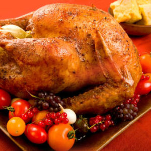 Farm Turkey