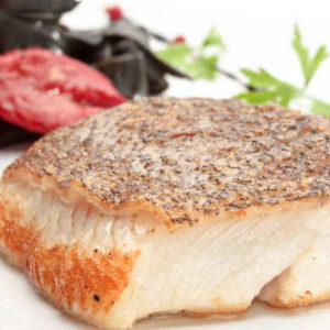 Pacific Halibut